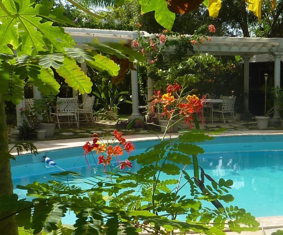 Orchard Garden Hotel Nassau Exterior photo